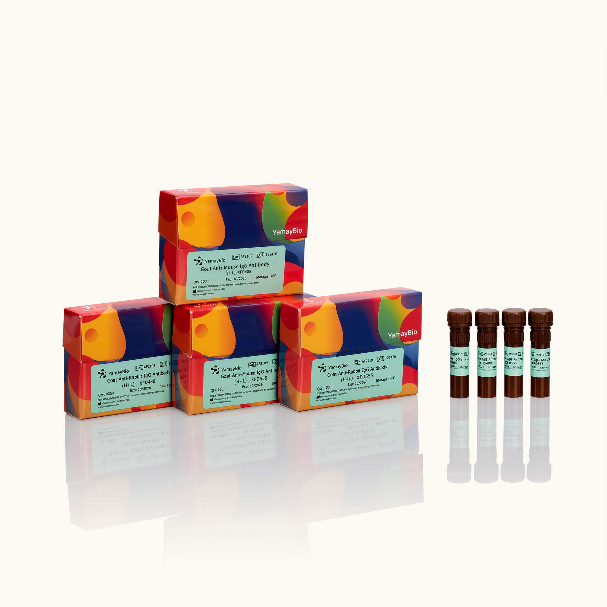 Goat Anti-Mouse / Rabbit IgG Antibody(H+L), Fluorophore Conjugated