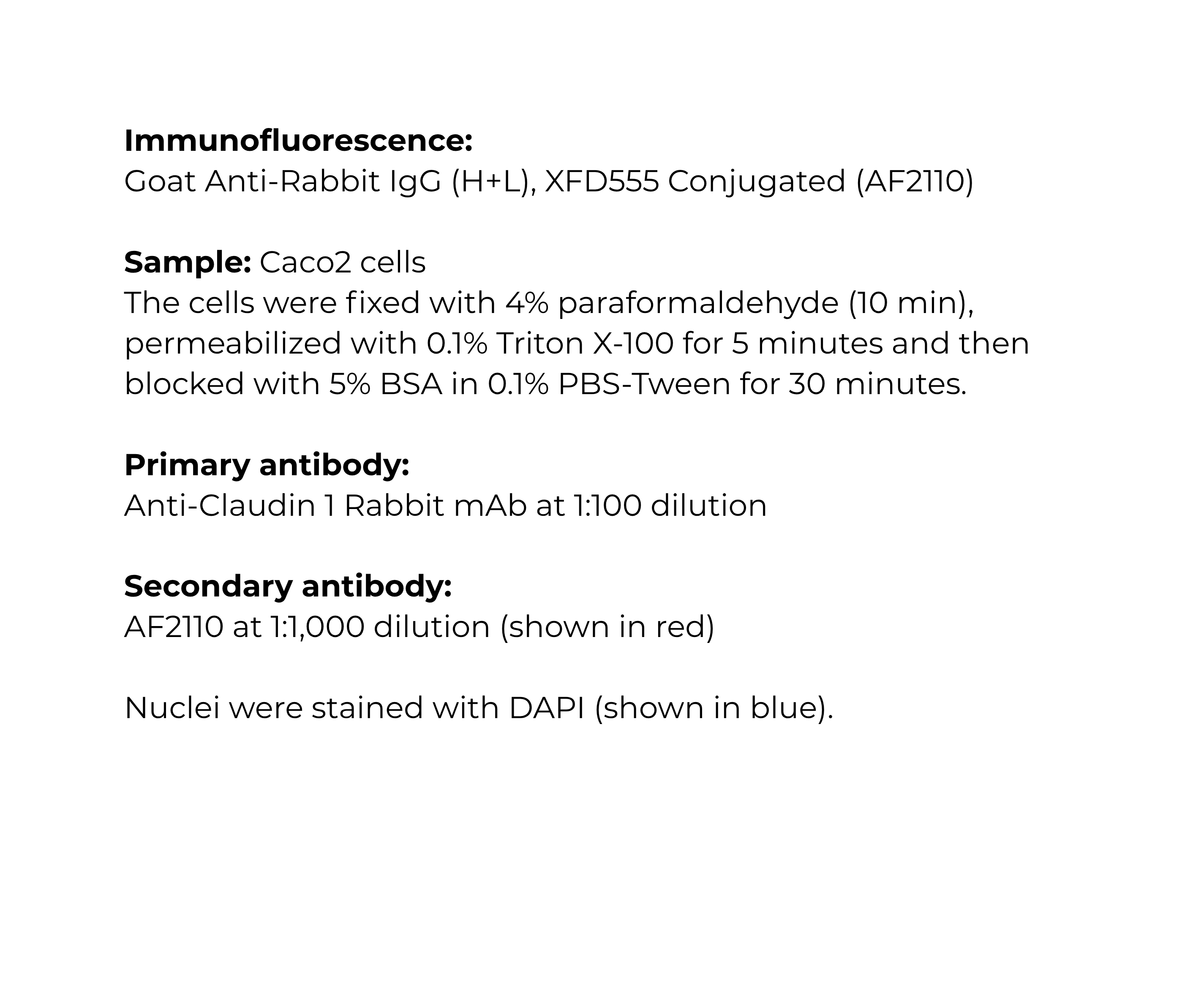 AB-IF-6 (2).jpg