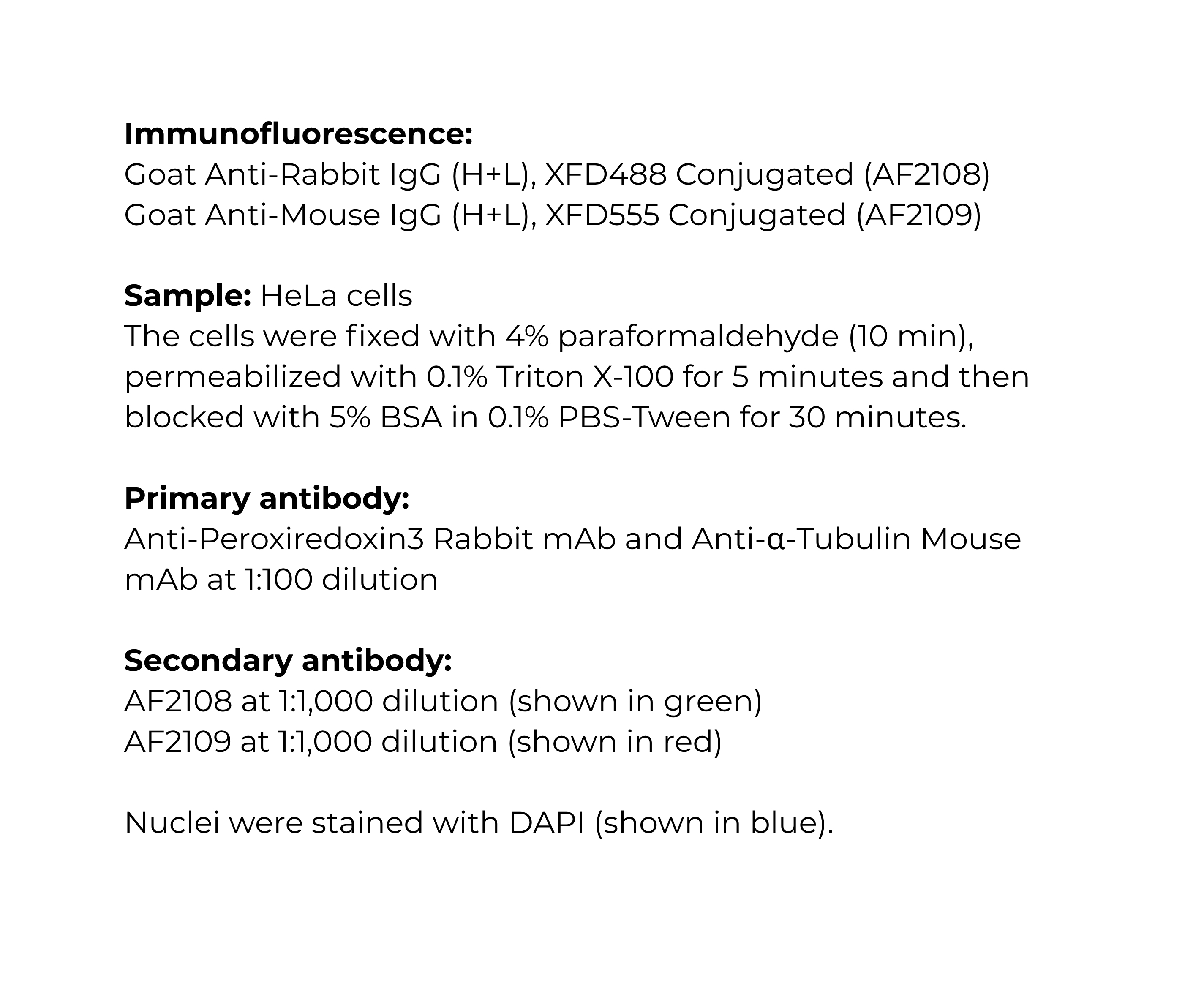 AB-IF-2 (2).jpg