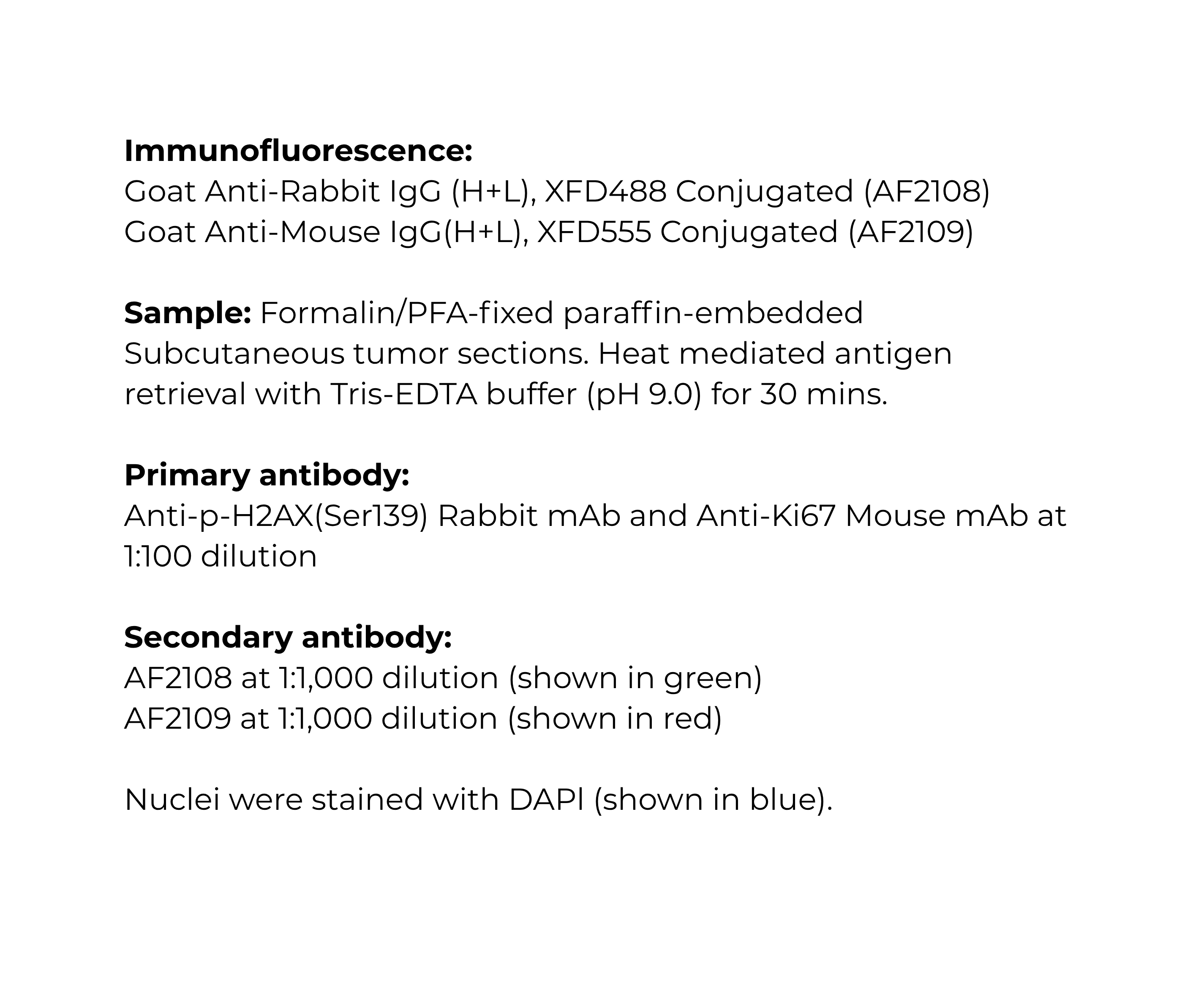 AB-IF-4 (1).jpg