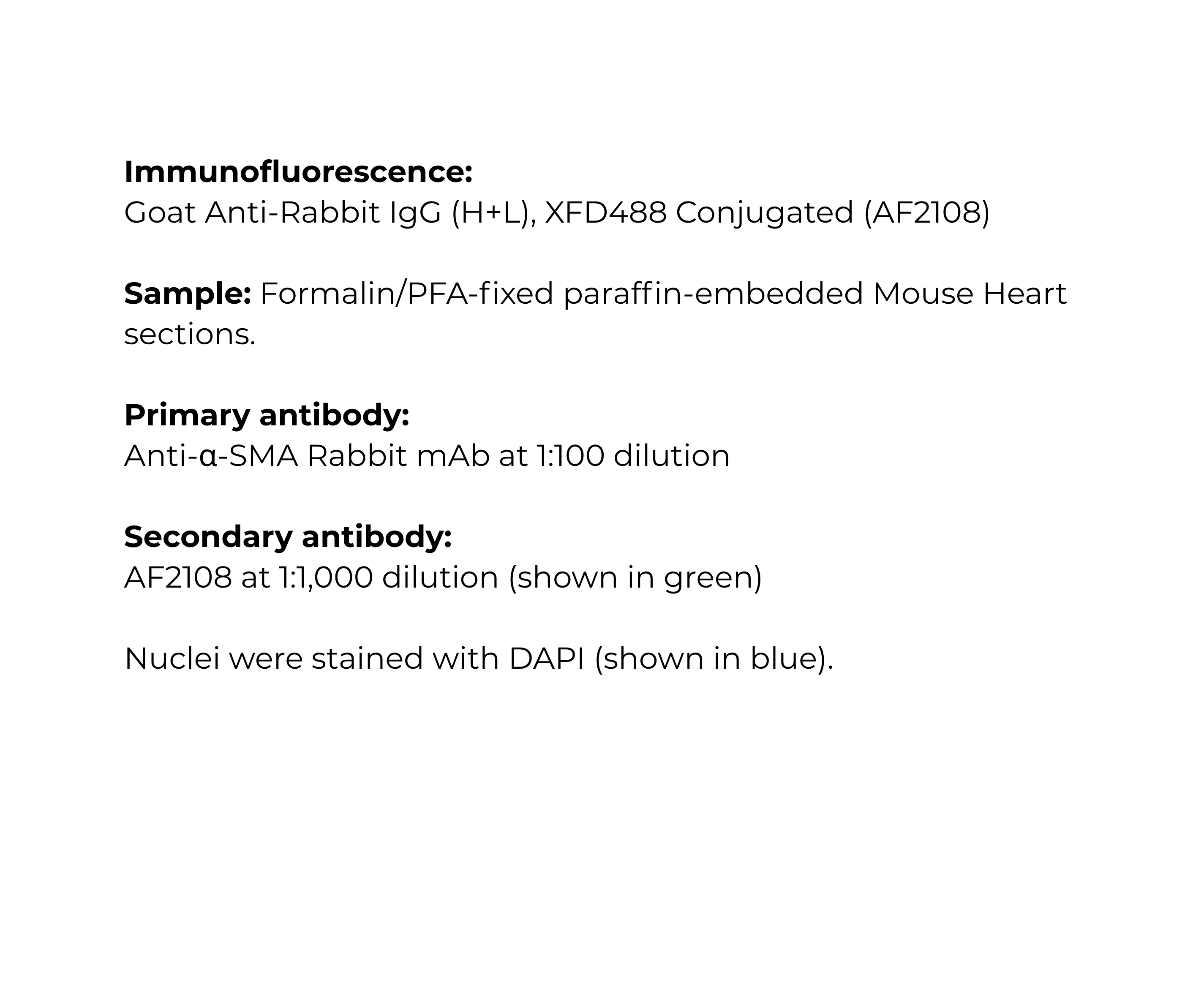 AB-IF-3(1).jpg