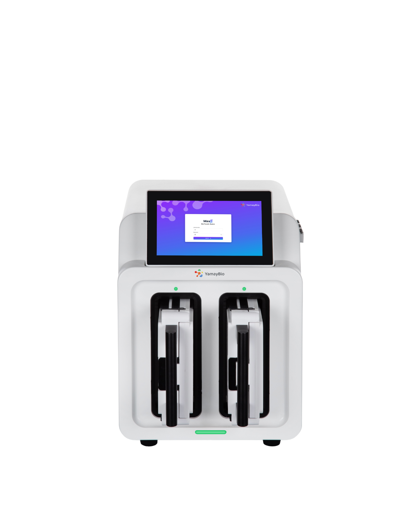 Blot Transfer System