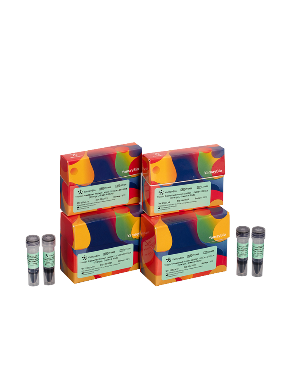 Buy any 2, Get 1 FREE!