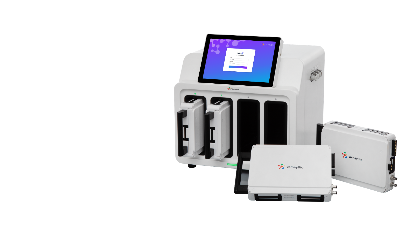 Blot Transfer System