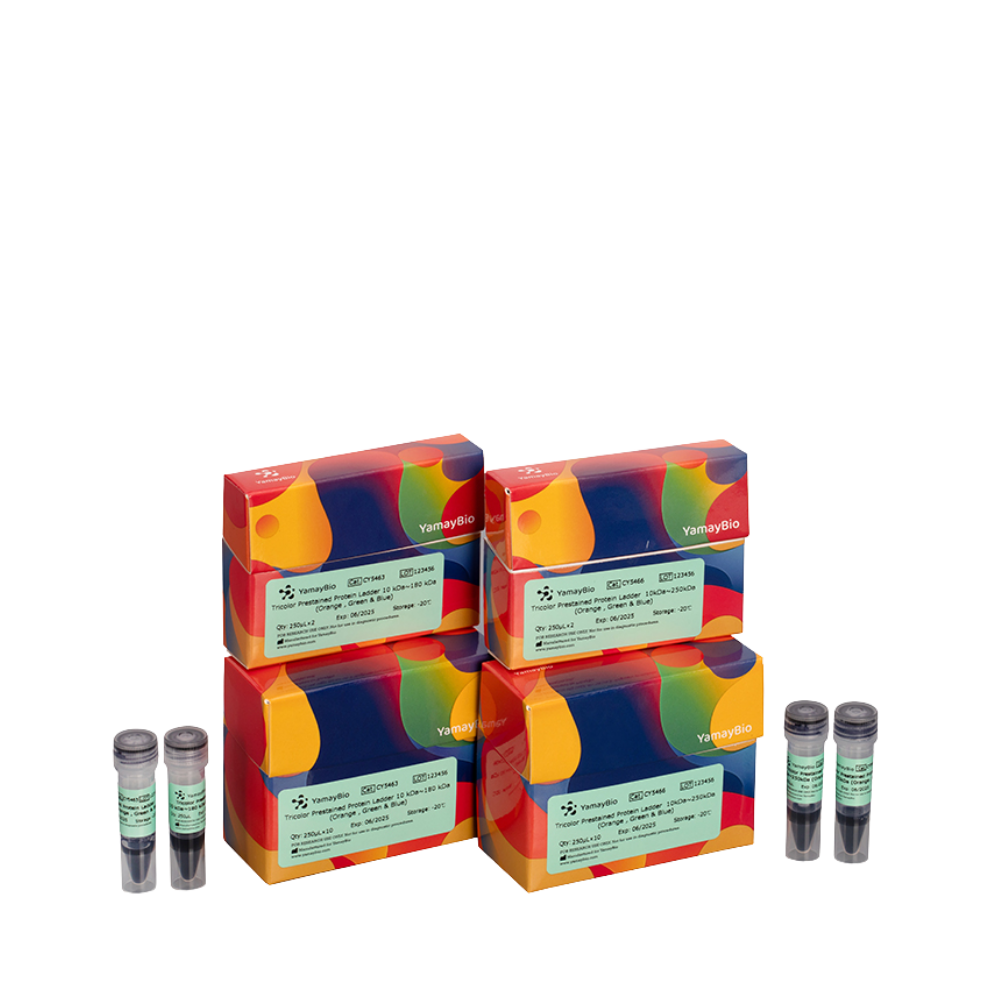 Buy any 2, Get 1 FREE!