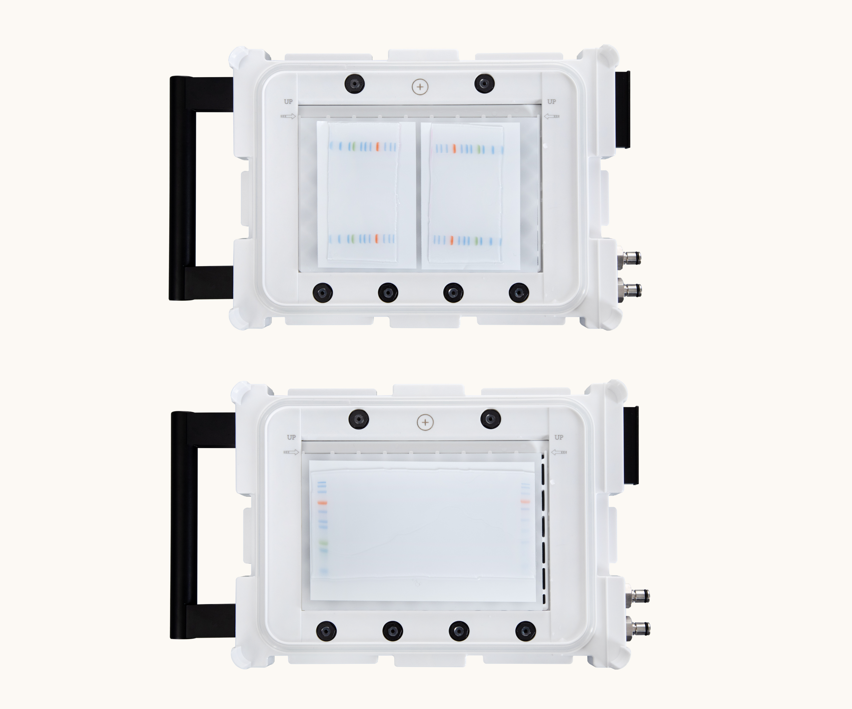 The Max8 features four independently controlled transfer stations, enabling simultaneous processing of up to 8 mini gels or 4 midi gels. Each station supports flexible gel configurations and transfer programs.

(The Max4 features two transfer stations that support the simultaneous processing of up to 4 mini gels or 2 midi gels.)

Flexible workflow. Each station accommodates either 2 mini gels or 1 midi gel.